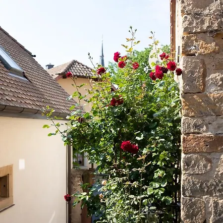 Apartment Klimatisiertes Loft Im Herzen Von