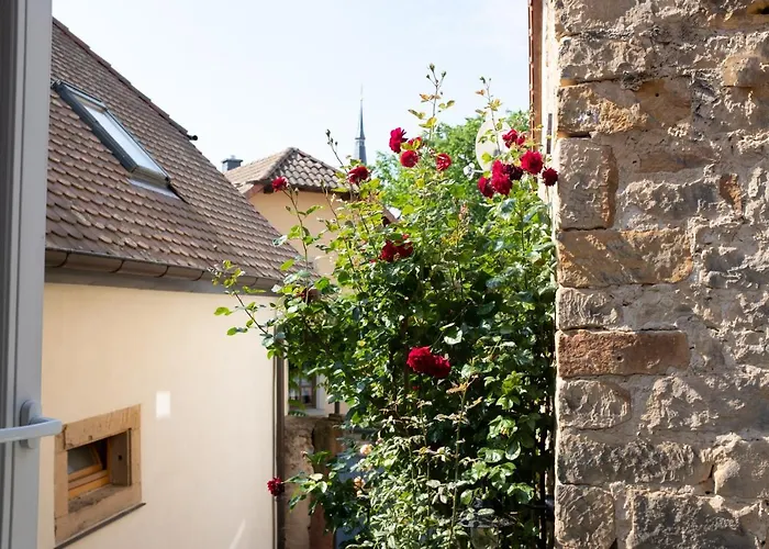 Apartment Klimatisiertes Loft Im Herzen Von